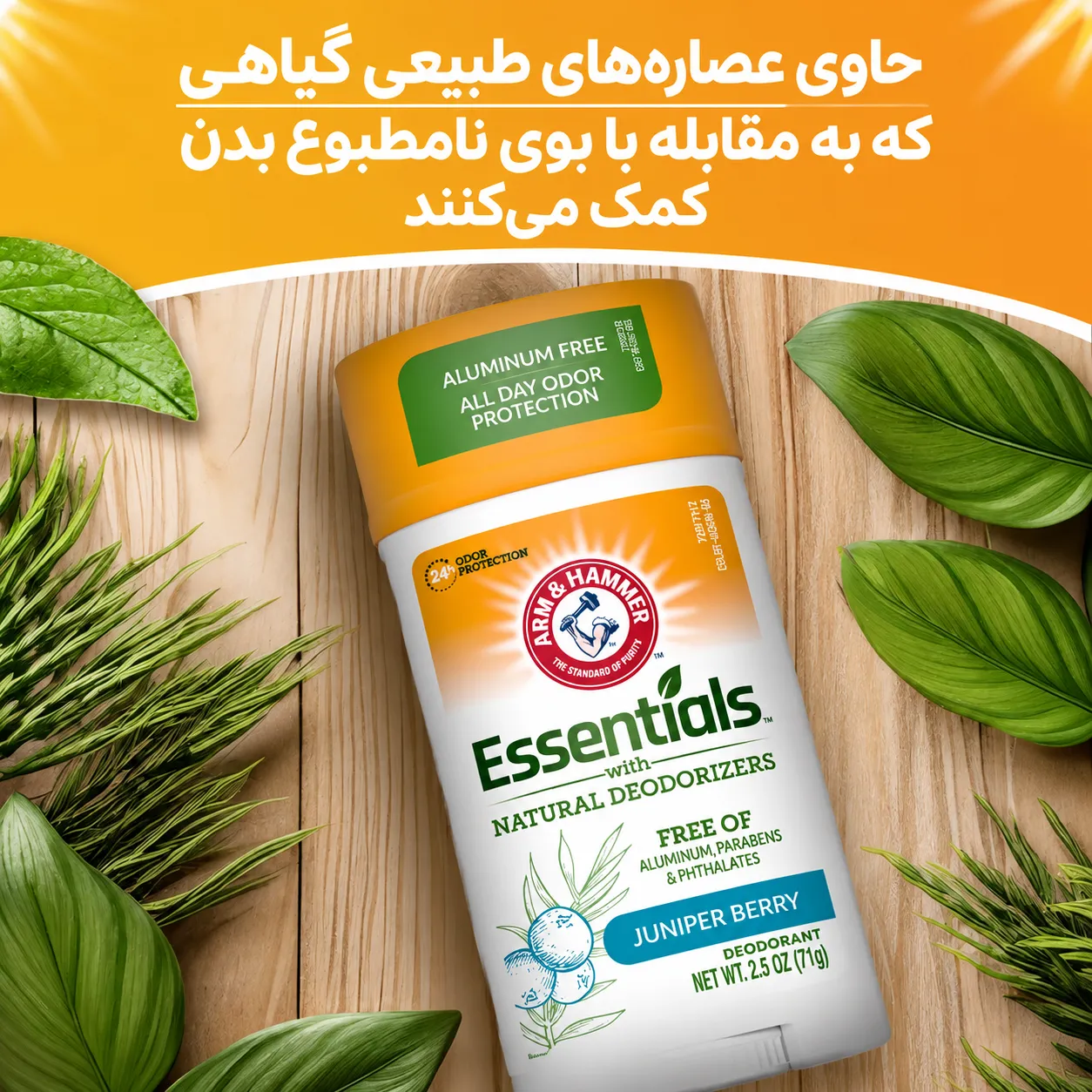 دئودورانت استیکی آرم اند همر مدل Essentials Juniper Berry به‌صورت مورب روی سطح چوبی، احاطه‌شده با برگ‌ها و شاخه‌های سبز